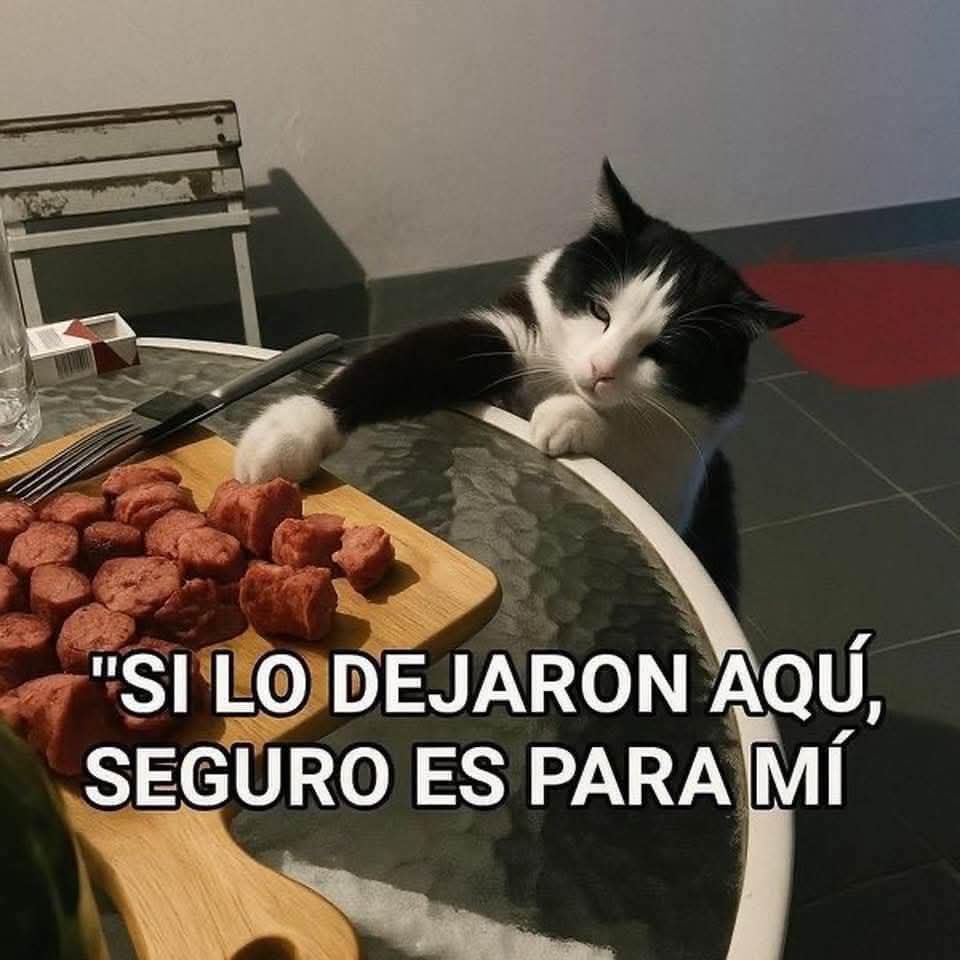 Animalesaprieto's tweet image. 