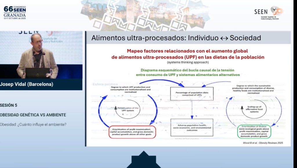 🧠 Datos del Biobanco UK muestran que un mayor consumo de ultraprocesados se asocia con cambios en el control cerebral del apetito (núcleo accumbens, hipotálamo) y con inflamación sistémica. Mente y metabolismo, íntimamente conectados. #SEEN2025 #EmbajadorSEEN