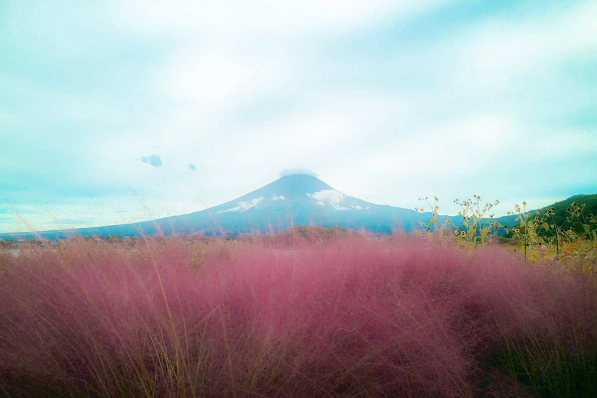 fukuchiphoto's tweet photo. 秋晴を感じる河口湖の富士山集

#LeicaQ2 #opf550l 
#富士山
#河口湖
#東京カメラ部 https://t.co/efWa7t1bL3