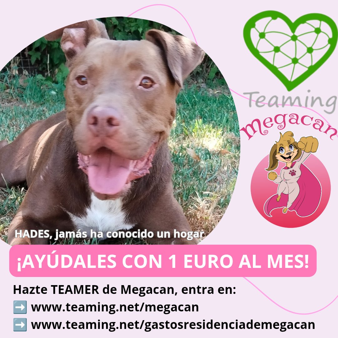 ¡Ú𝗡𝗘𝗧𝗘 𝗔 𝗡𝗨𝗘𝗦𝗧𝗥𝗢 𝗧𝗘𝗔𝗠𝗜𝗡𝗚!
GRUPO DE AYUDA GENERAL
teaming.net/megacan
GASTOS DE RESIDENCIA
teaming.net/gastosresidenc…