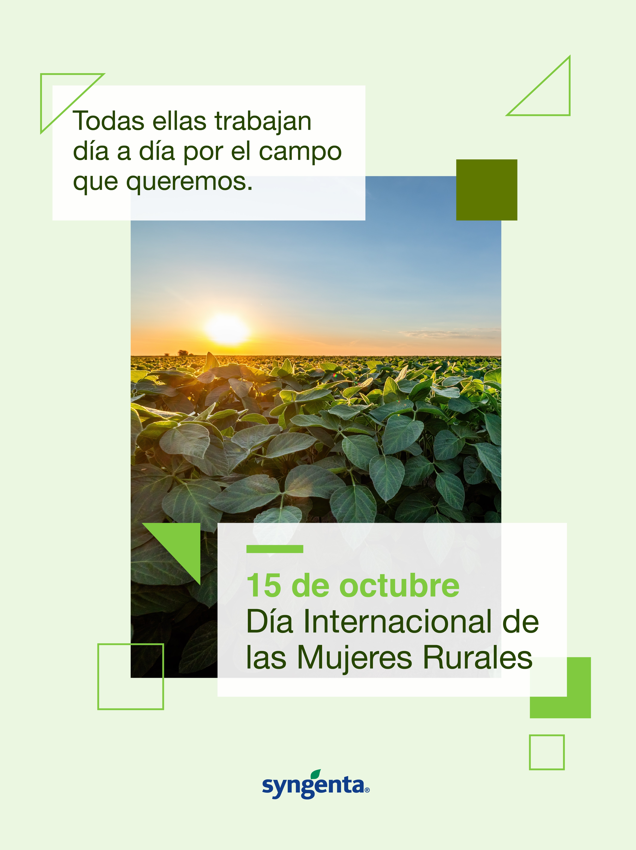 Alex_MiguelPL's tweet photo. Distintas historias, diferentes geografías y una misma convicción: la de trabajar día a día por #ElCampoQueQueremos.
Hoy, en el Día Internacional de las Mujeres Rurales, reconocemos y celebramos la labor de quienes, desde diferentes lugares, dejan su huella. https://t.co/LokxARPQLp
