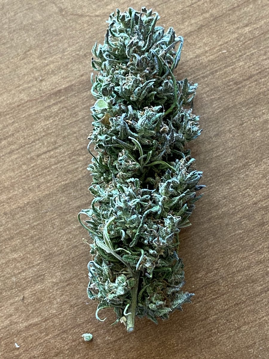 She’s the star of the show so far this season. Smells like a freshly opened can of tennis balls. Never had that one before.