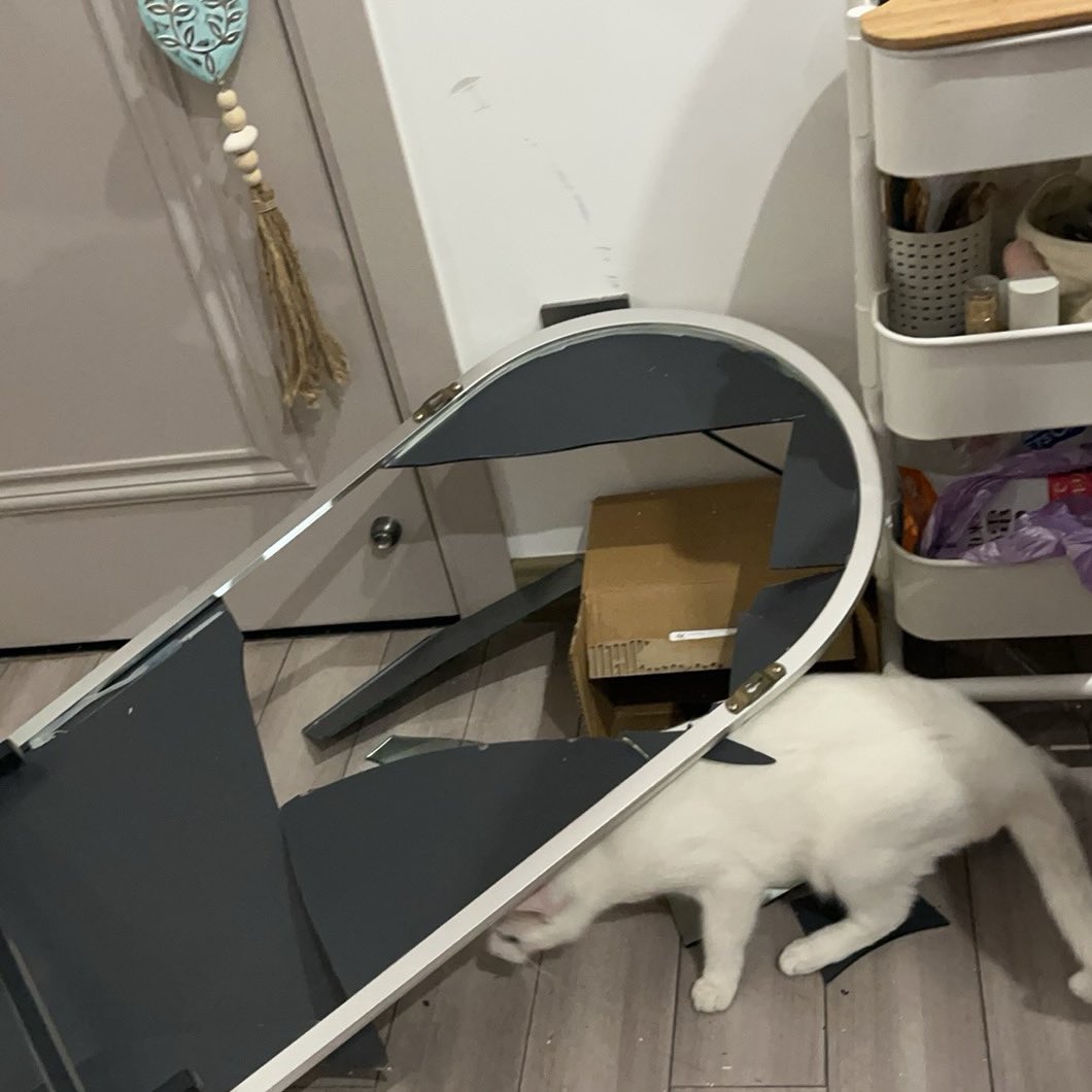 我说，我可能有点累了
他说，是我对不起你
电话刚挂掉，我的猫把镜子打碎了，墙被刮了，木地板被砸了个小缺口
老天你到底还要怎么样