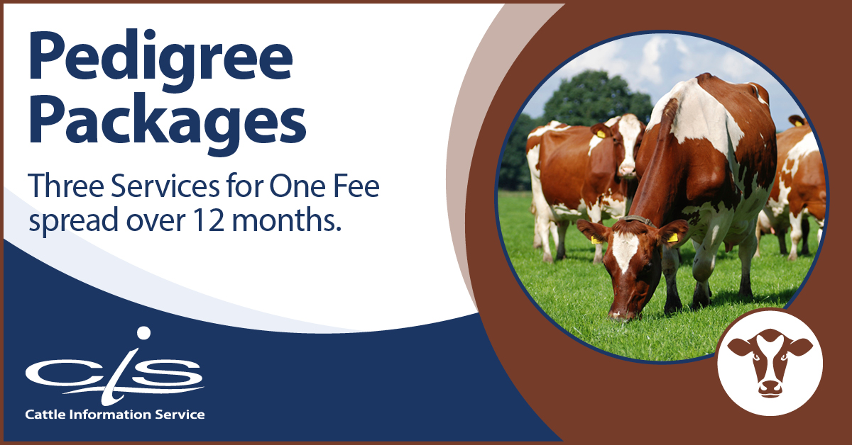CISTelford's tweet photo. 📋 Enhance Your Herd Records with CIS Pedigree Packages

🟤 Easy female pedigree registration process
🟤 Milk recording at the frequency you want
🟤 Supports herd management 
🟤 Can include Type Classification visits

📈 Turn data into value.

Learn more: https://t.co/VVSmSxwbPs https://t.co/qHHdY1SlZ9