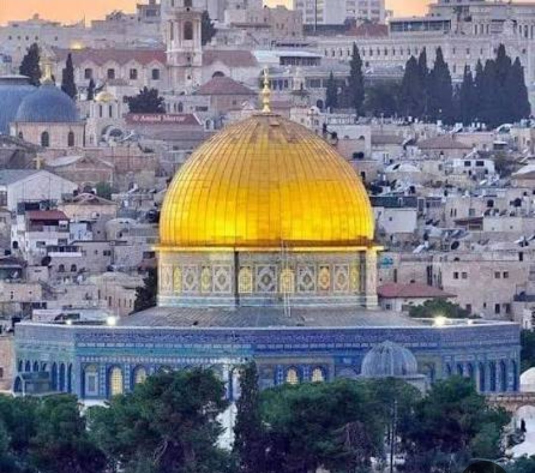 HasSamawe's tweet image. Peace in Gaza is a top priority under the current circumstances, as people urgently need food and medical aid. Zionist forces and Jihadi Salafi groups remain unwelcome in the Land of
Palestine.