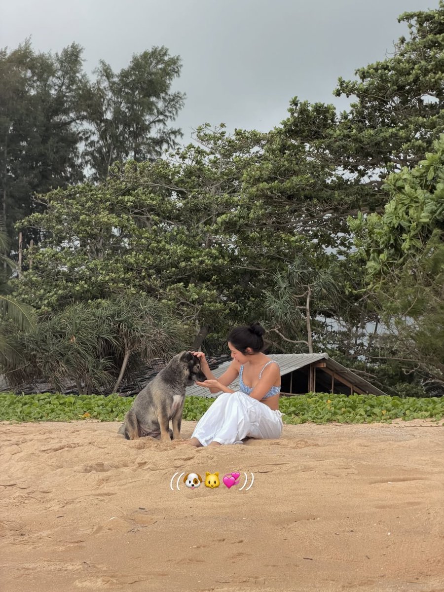 pupuluvgirls's tweet image. 세린이랑가나디조합볼때마다마음이너무좋아져。。🥹
세상은아직살만하다