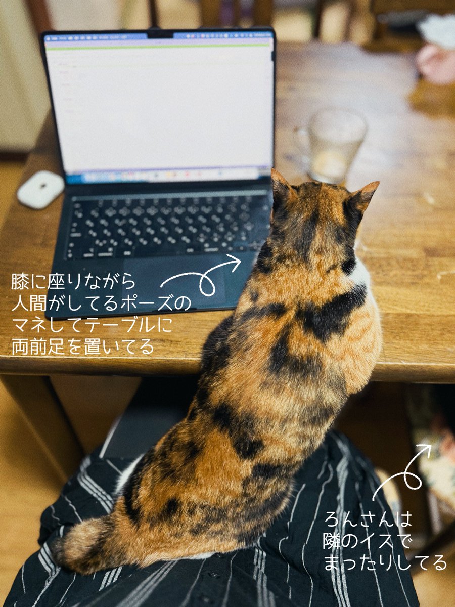 仕事中もいっしょにいてくれてうれしい