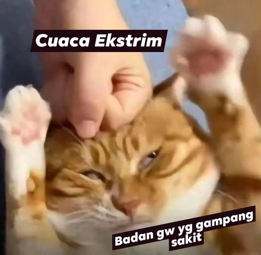 Celtie Cefert | Vtuber 👽🍜🐰🐾 tweet media