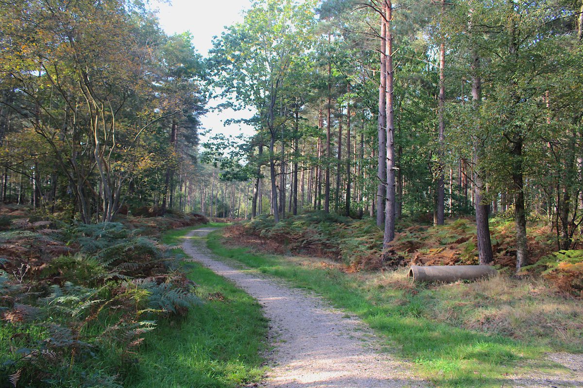 Englefield Estate tweet media