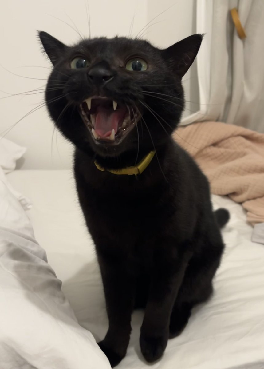 かああああちゃん！！
