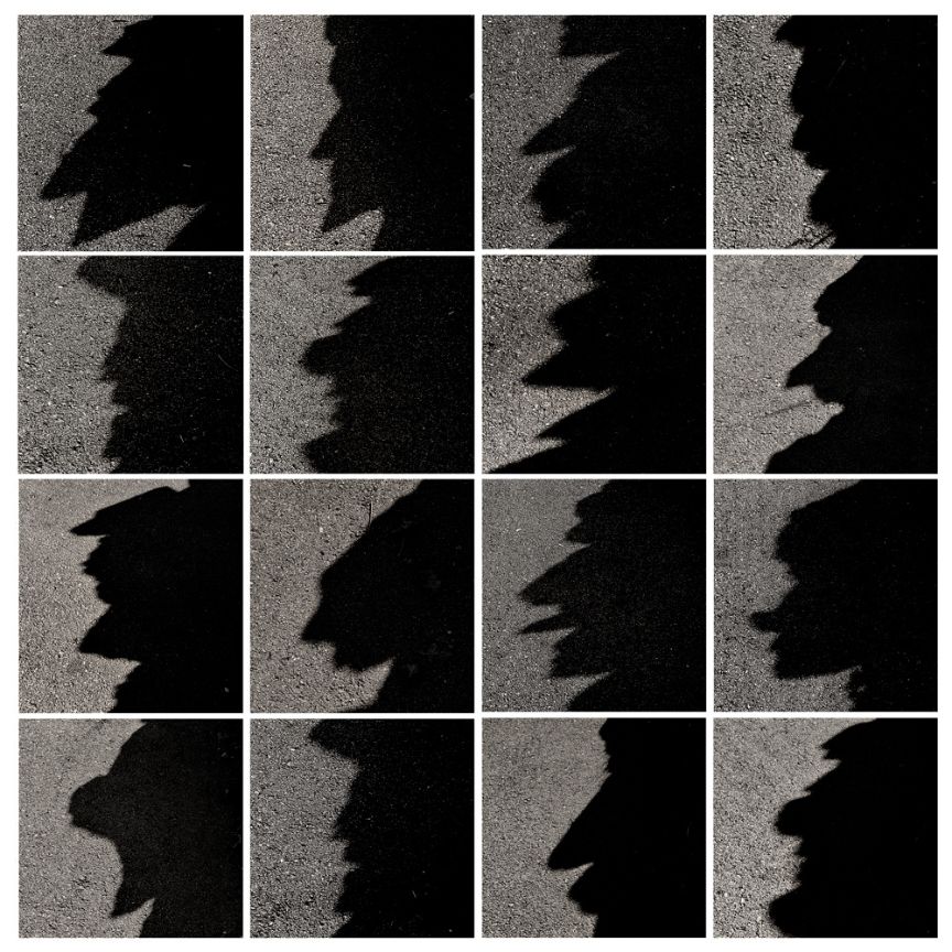 🏛 El <a href="/museodealtamira/">Museo de Altamira</a> presenta la exposición 'El susurro de la sombra'

🦌 Una reflexión sobre la memoria y las huellas del tiempo en el arte rupestre a través de la obra de Miguel Ángel García

📆 Hasta el 31 de enero

🔗 bit.ly/4qbeehH