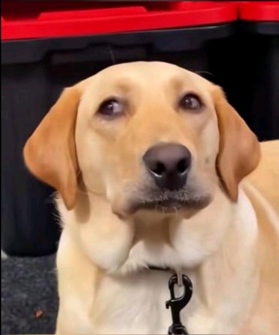 <a href="/Meta888_hk/">beyond5188</a> <a href="/SentientAGI/">Sentient</a> <a href="/zama/"></a> <a href="/irys_xyz/">Irys (✧ᴗ✧)</a>