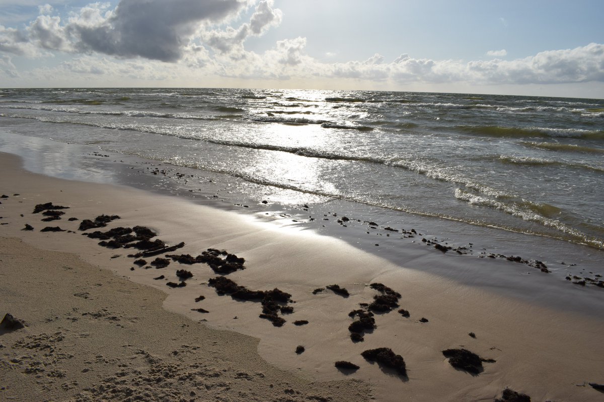 ProjektsReef's tweet image. Aizsargājamās teritorijas Baltijas jūrā - kā tās nosaka un sargā lr1.lsm.lv/lv/raksts/zina…