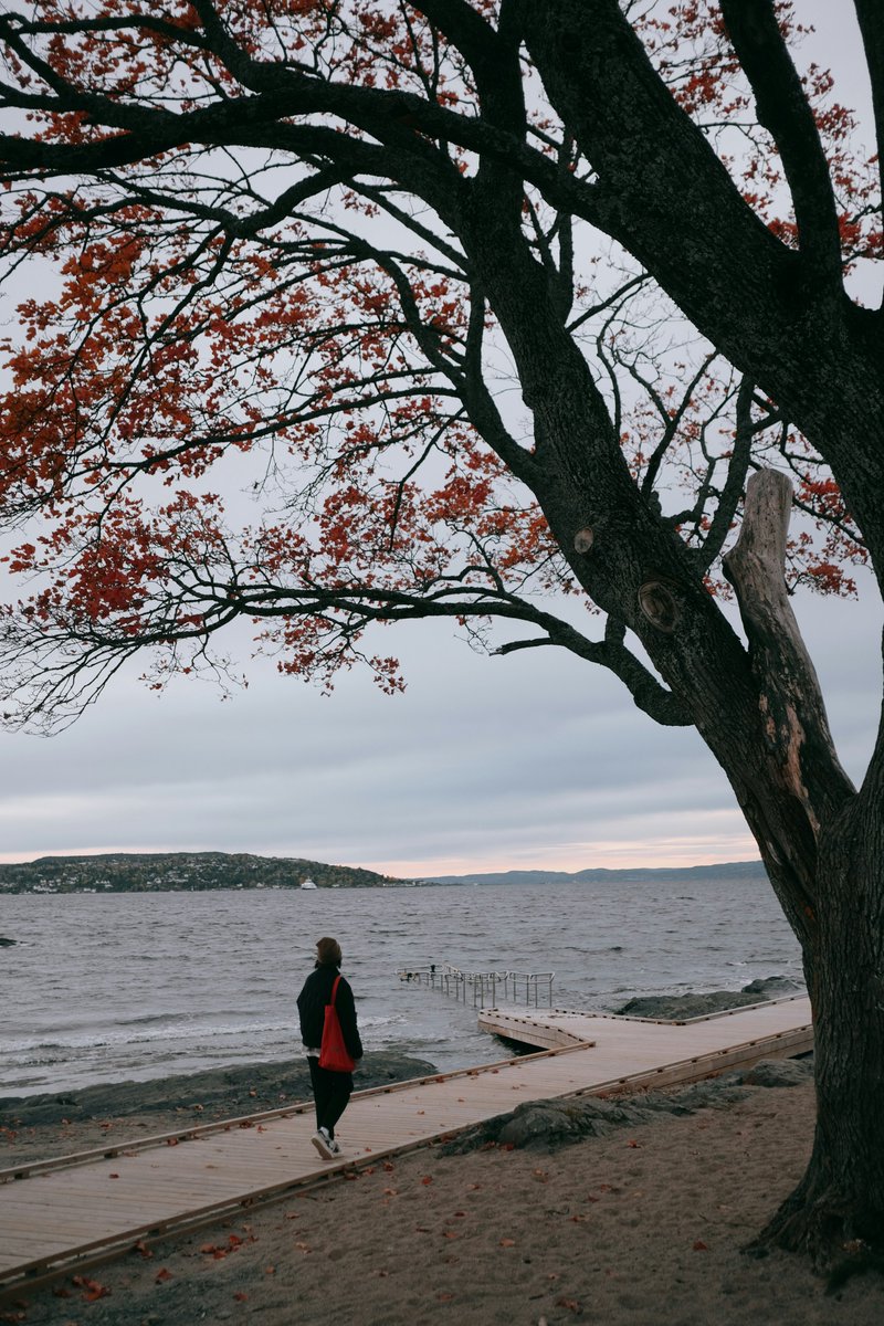 Rede Mundial de Oração do Papa - Portugal tweet media