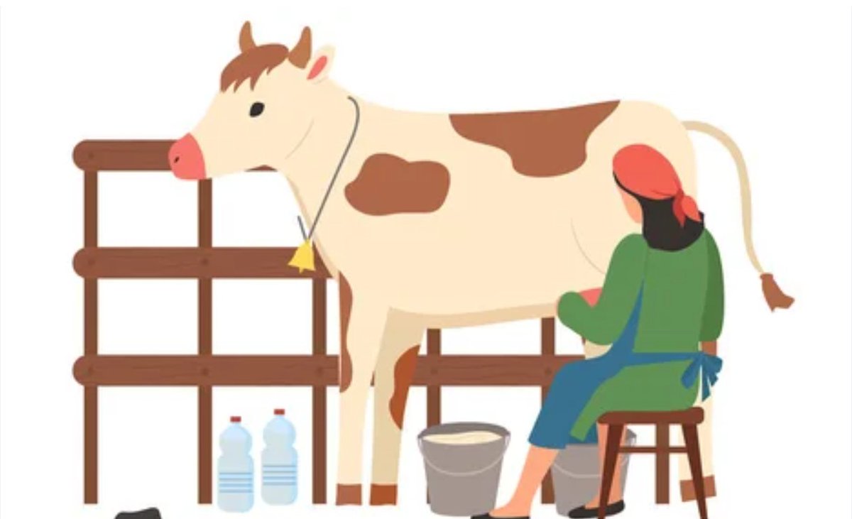 Dünya Kadın Çiftçiler Günü Kutlu Olsun💐