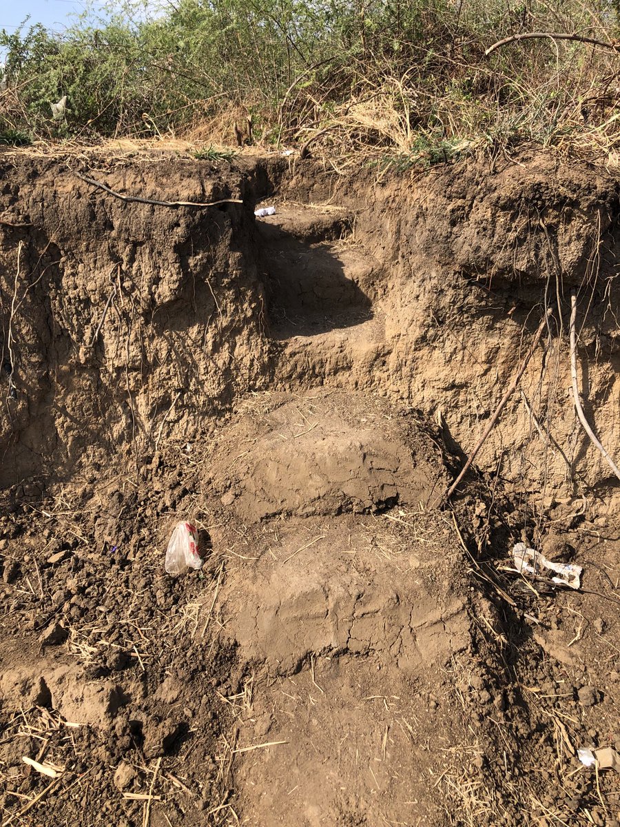 So, I cycled past this week. Local communities literally had to carve out stairways to cross the river because there is no help forthcoming 7 months  after its collapse <a href="/BWGovernment/">Botswana Government</a> <a href="/BWPresidency/">Office of the President| Republic of Botswana.</a> <a href="/StizzyWizzyRay/">Setlhomo Raymond Tshwanelang🕵🏾</a> 

this bridge priority for daily communite for locals.