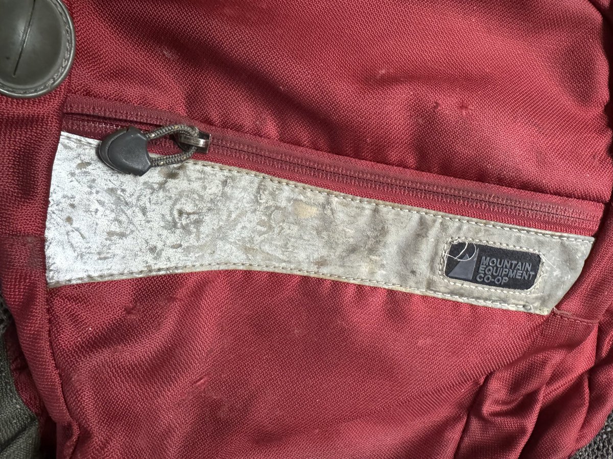 🇨🇦🦖Liz Tew 🇳🇬⚽️ tweet media