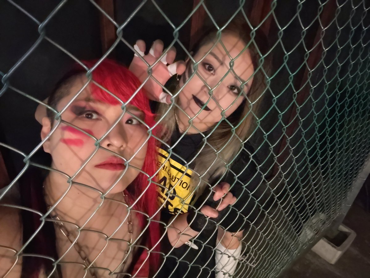 ポケモンのやつは頭から消してくれ