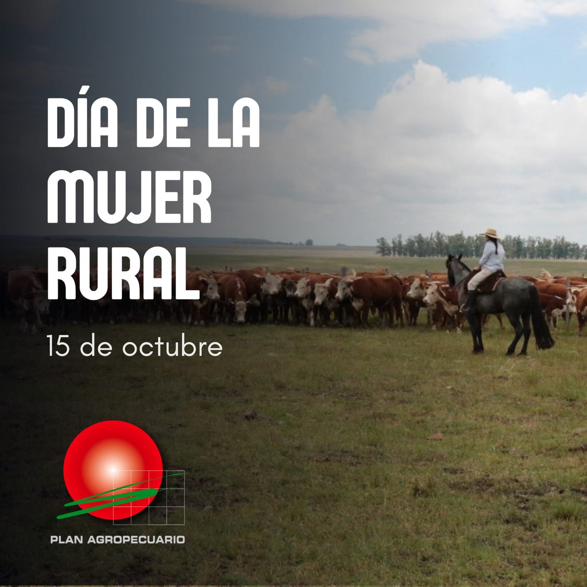 Plan Agropecuario tweet media