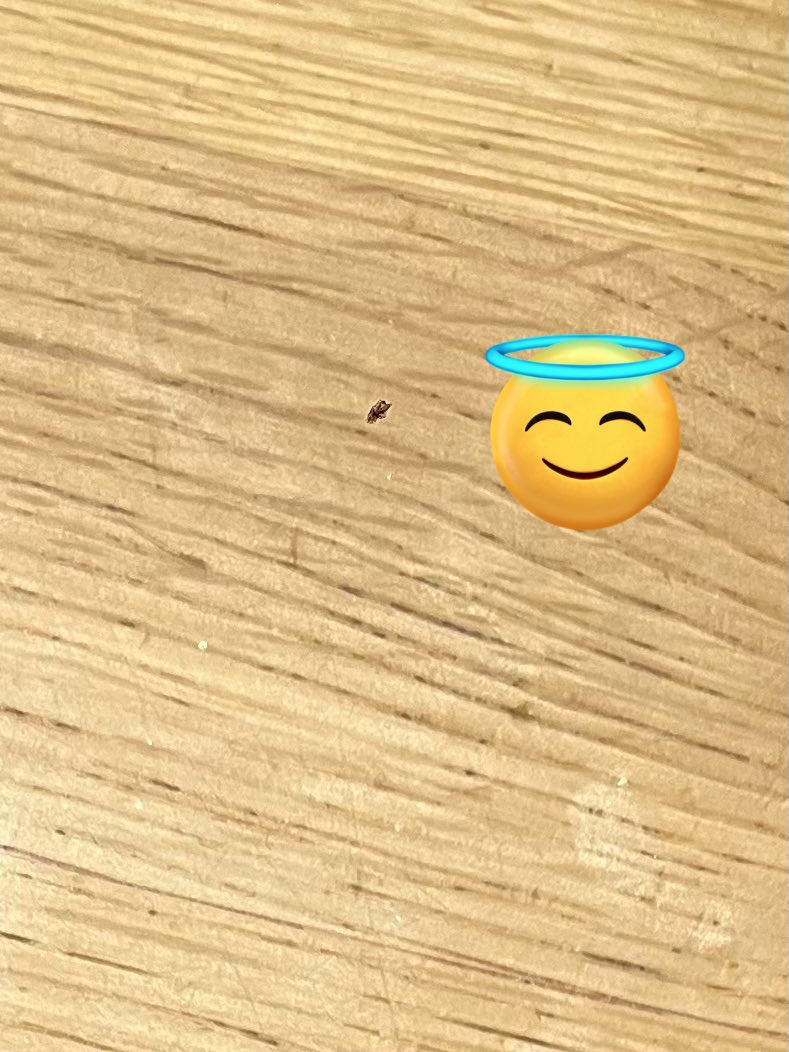 iPhoneのカメラ内部にゴミが…
全ての写真にゴミが写ってしまう… 
修理費高そう…

カメラの性能が良すぎてこの謎のゴミ何だよ…