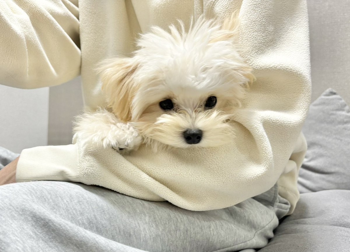 ちょっとコンビニ行って帰って来たらコレで胸が……苦しい…………寂しかったね🥺