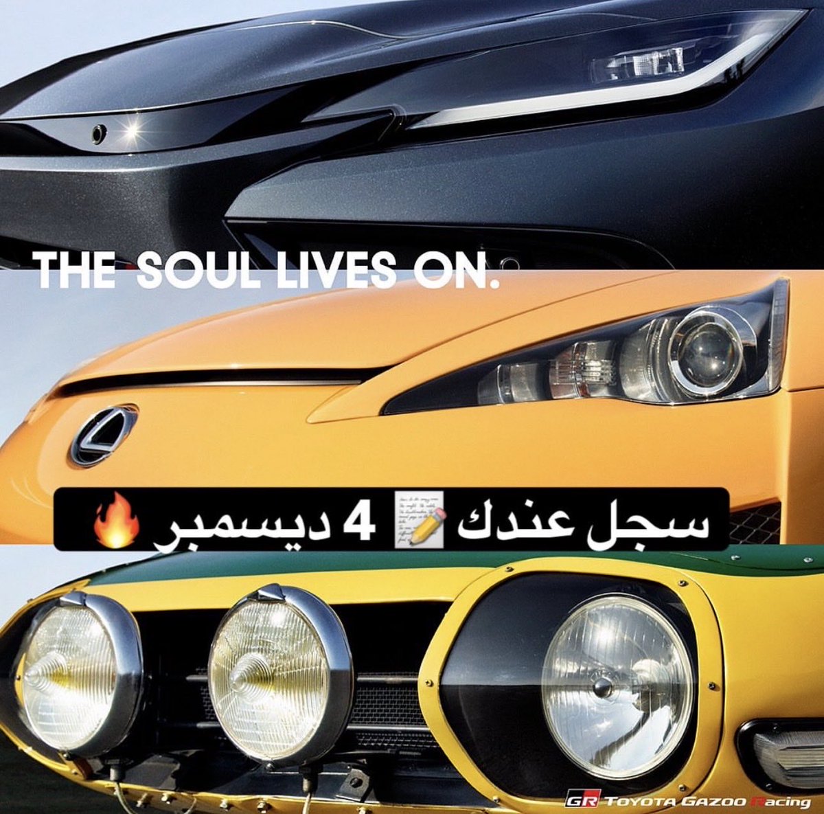 زياد بن عبدالملك الشريف👑 tweet media