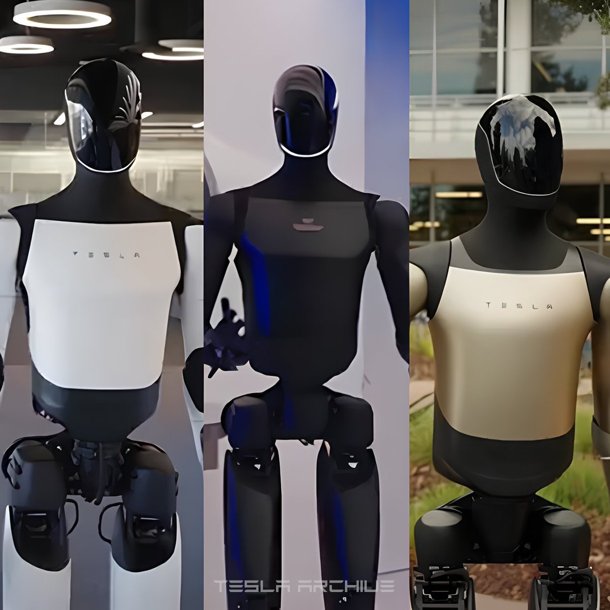 Tsla Archive tweet media