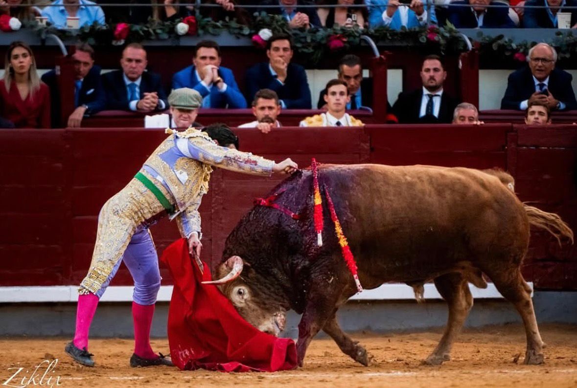 Está foto es para ponerla en el salón de casa