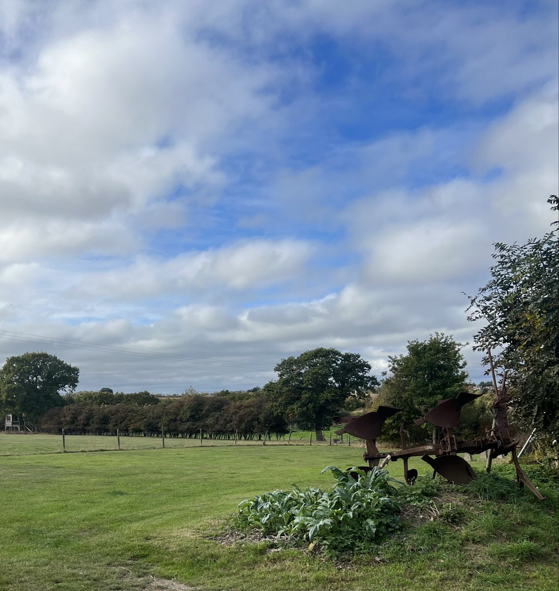 A beautiful day for a walk. To clear my mind and be grateful. #beautifulday #grateful 💚❤️🙏