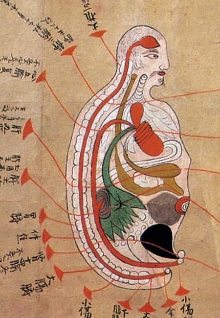 人の皮
