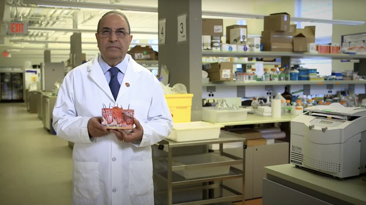 Investigative Journalism Foundation tweet media