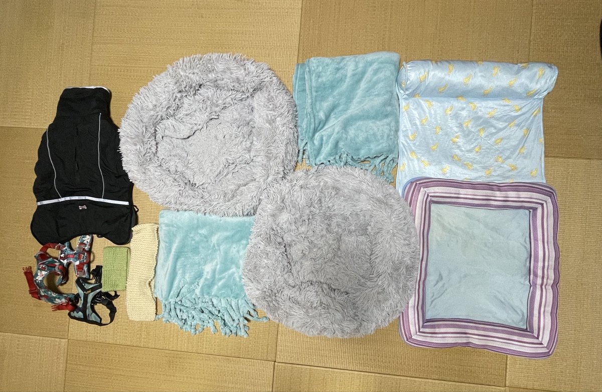 わーっ‼️
またまた
T.Sさまから
大量の贈り物🎁が
届きました＼(^^)／
大変助かります🙇
ありがとうございました🙏