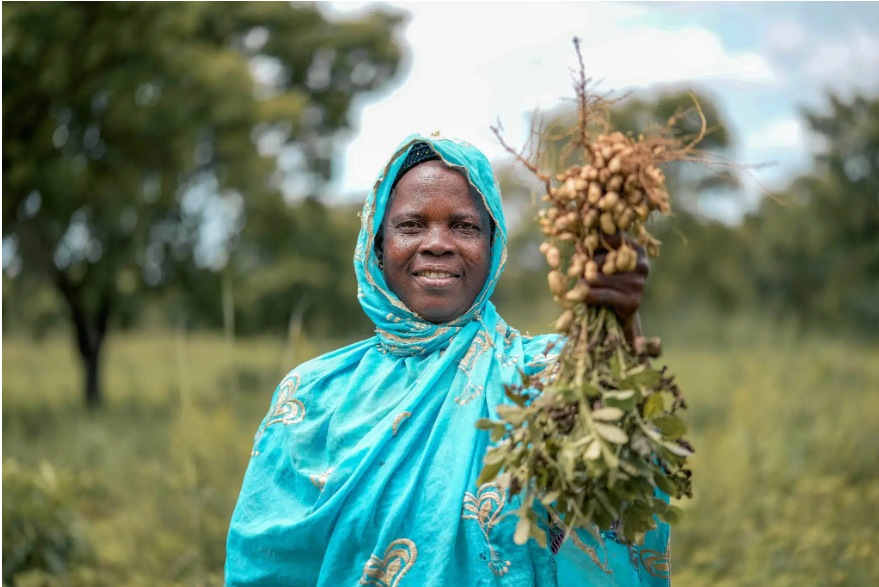 Canada in Senegal (@canembsenegal) on Twitter photo The AVENIR project, funded by 🇨🇦 & implemented by <a href="/medadotorg/">MEDA</a> & <a href="/MASAE_sn/">Ministère de l'Agriculture et de l'Elevage - MASAE</a> aims to improve the well-being and resilience of farming households, particularly women and youth in 🇸🇳 
On this #InternationalDayofRuralWomen, we acknowledge the central role of rural women in development The AVENIR project, funded by 🇨🇦 & implemented by <a href="/medadotorg/">MEDA</a> & <a href="/MASAE_sn/">Ministère de l'Agriculture et de l'Elevage - MASAE</a> aims to improve the well-being and resilience of farming households, particularly women and youth in 🇸🇳 
On this #InternationalDayofRuralWomen, we acknowledge the central role of rural women in development