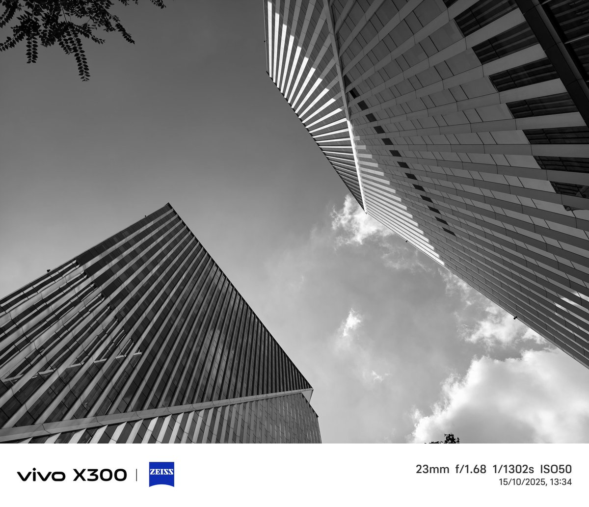 Taken on the Vivo X300. Stay tuned tomorrow I am heading home and will start working hard on it! #vivo #vivox300 #vivox300pro
