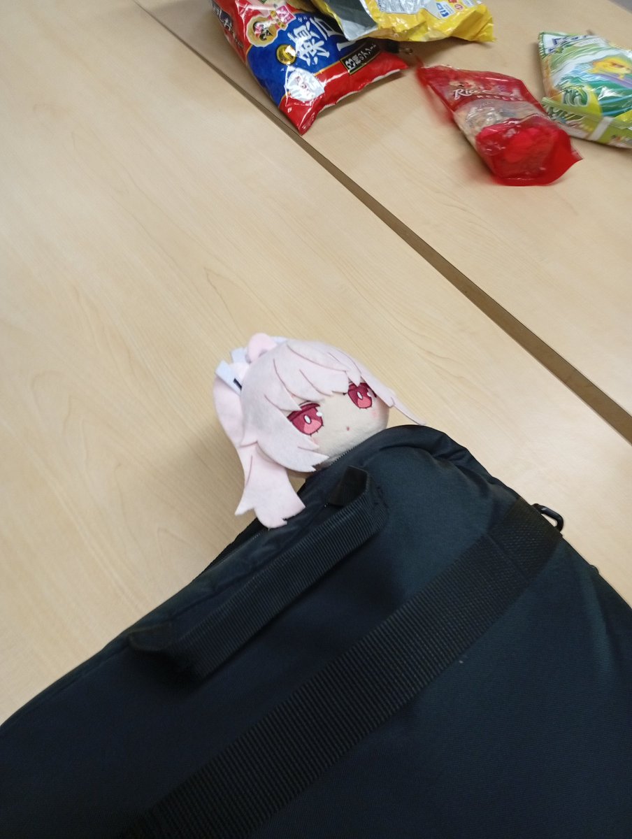 Ecto__PLASMA's tweet image. 標高4000+mのナツぬい(と酸素濃縮器)