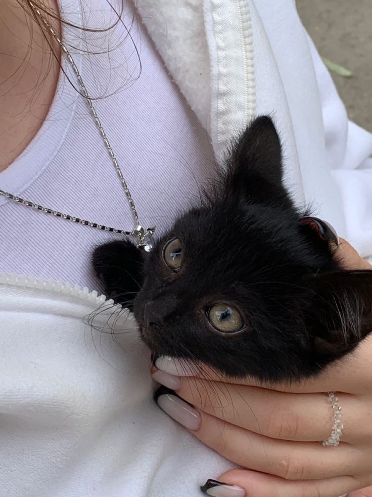 Second Before Blunder☠️ (@blundervid) on Twitter photo 