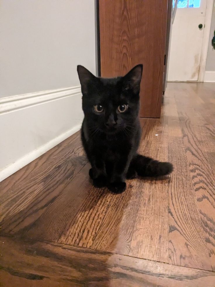 Second Before Blunder☠️ (@blundervid) on Twitter photo 