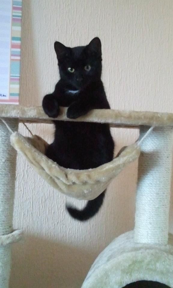 Second Before Blunder☠️ (@blundervid) on Twitter photo 