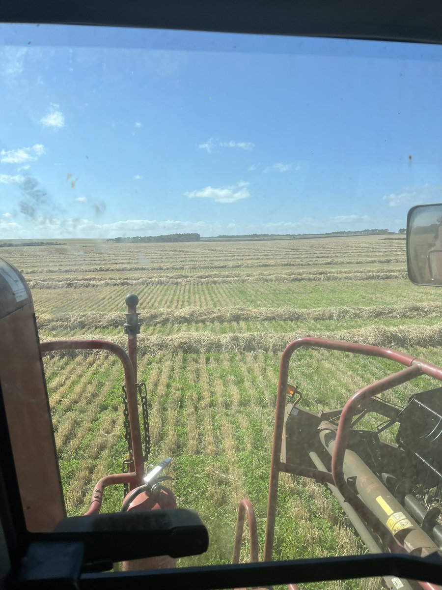 Matthew Bell tweet media