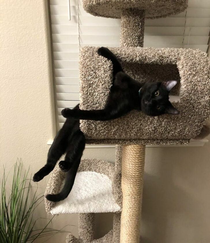 Second Before Blunder☠️ (@blundervid) on Twitter photo 