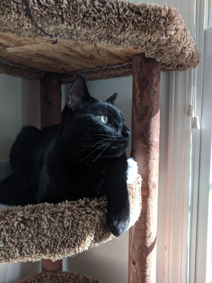 Second Before Blunder☠️ (@blundervid) on Twitter photo 