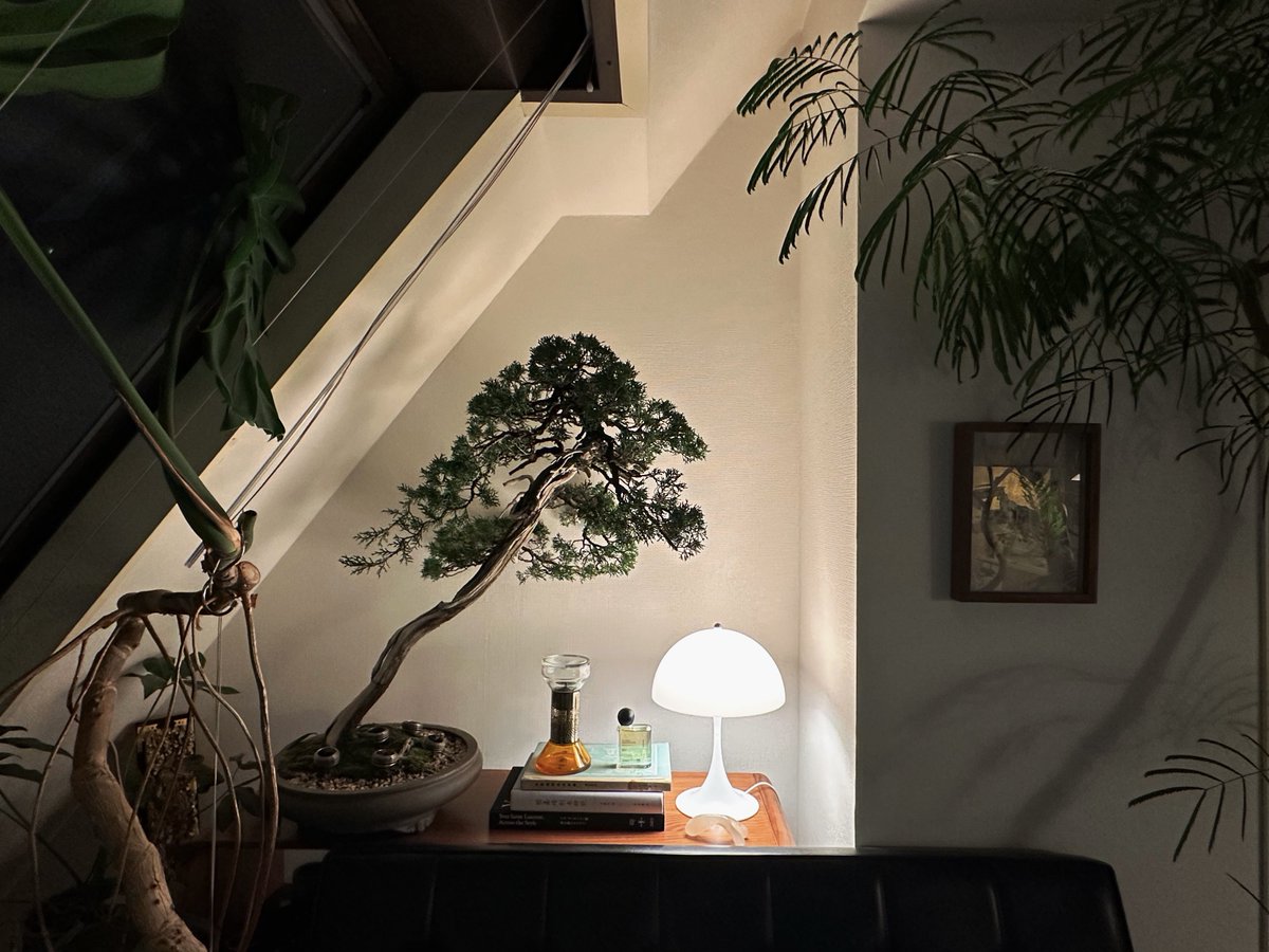 Cléophas tweet media