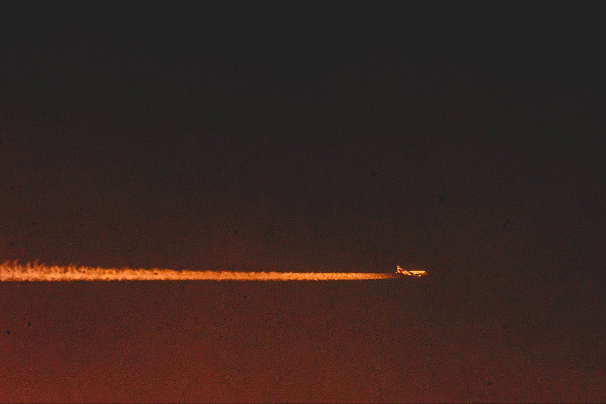 Max Pillet tweet media