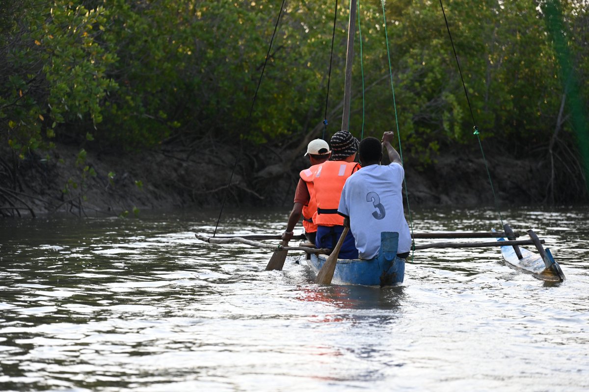 WWF Madagascar tweet media