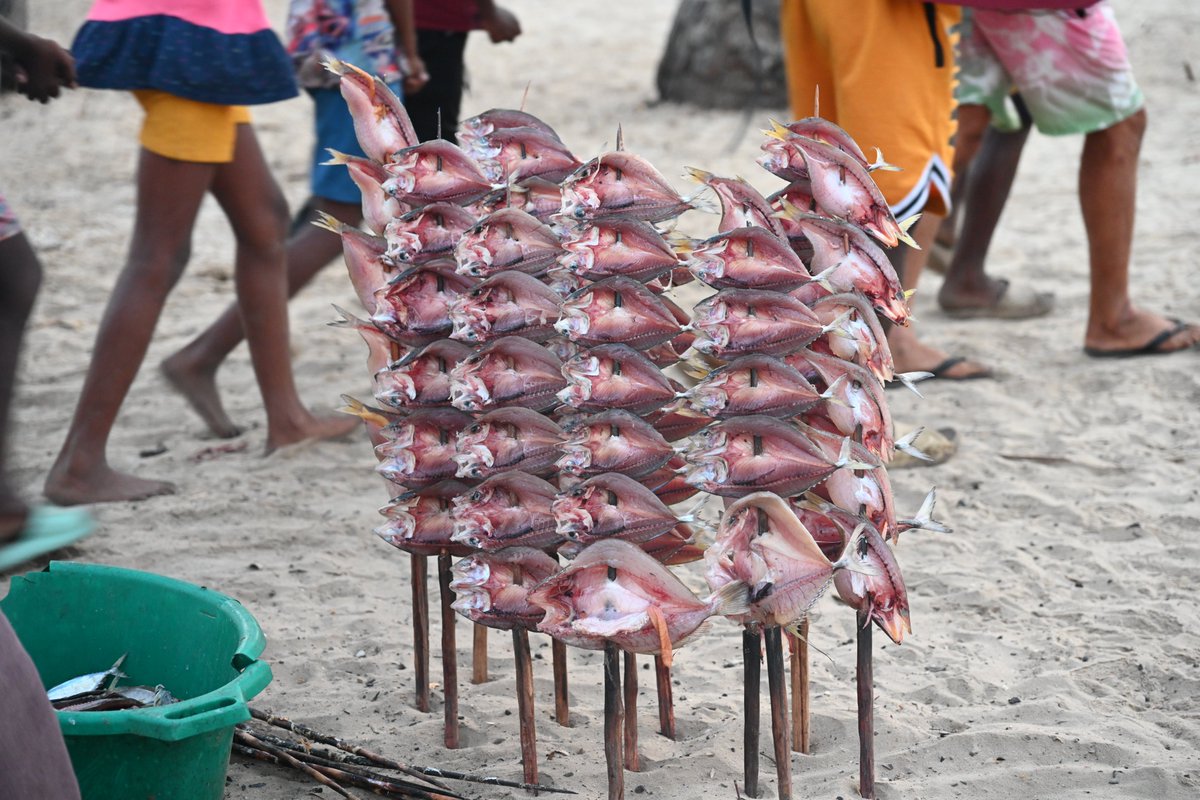 WWF Madagascar tweet media