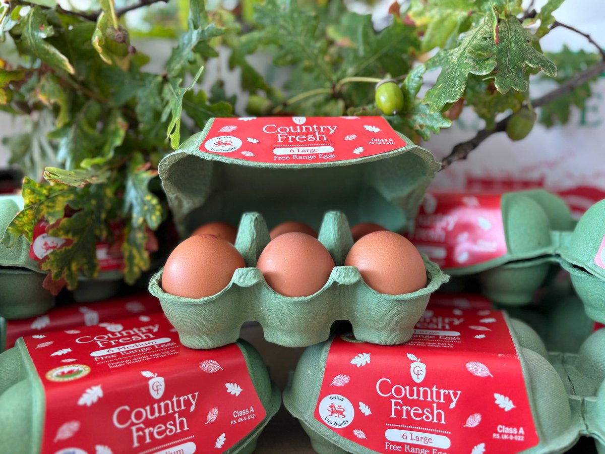 Here’s our brand-new Eggs &amp; Acorns Initiative🌳
For every 500 hens, we’ll be planting an oak tree, helping give back to the land that supports us every day.
Our packaging reflects this mission, with a fresh look that’s rooted in nature and sustainability.
#oaktrees
#eggs&amp;acorns
