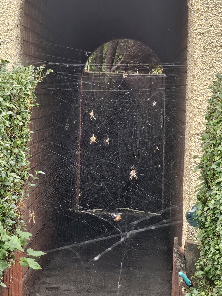 Moody_Dr🚏ver©️™️ 🚍 tweet media