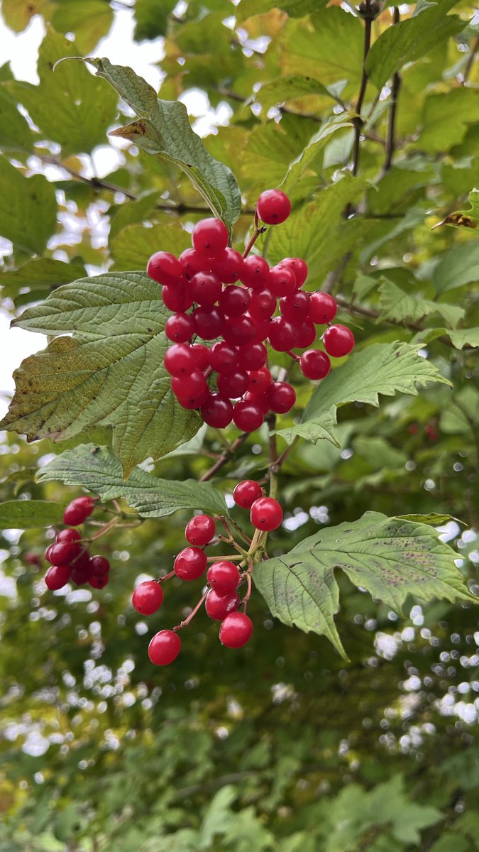 Happy Wednesday everyone 👋🏻.