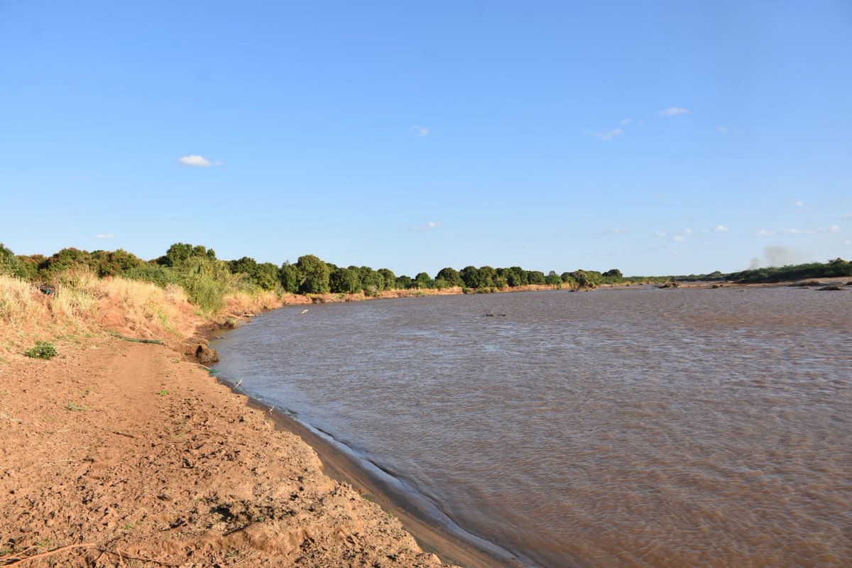 As we eagerly await the short rains, the Tana River continues to serve as a vital lifeline for both wildlife and local communities. In these anxious and challenging times, its waters provide much-needed relief to giraffes and other wildlife species across Garissa County.