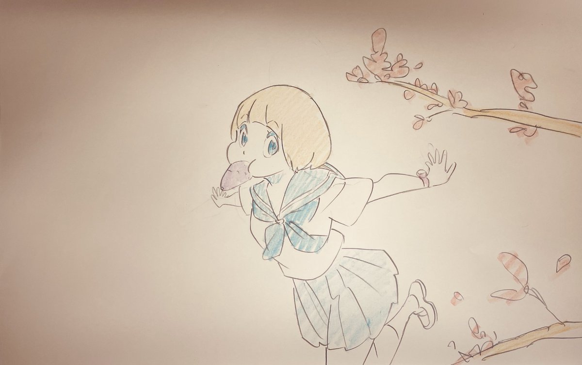 すしお (@sushio_) on Twitter photo 